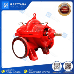 Horizontal Split case pump