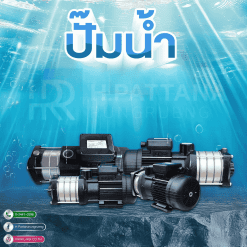 ปั๊มน้ำ